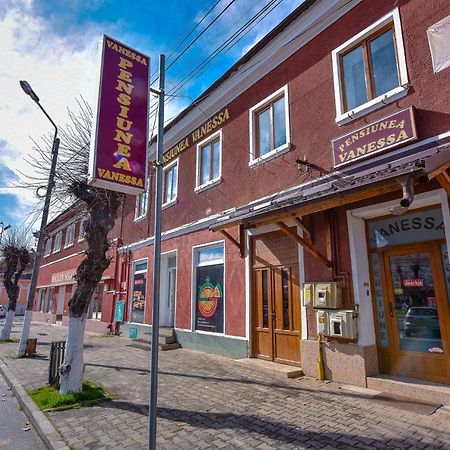 Pensiunea Vanessa Făgăraş Zewnętrze zdjęcie