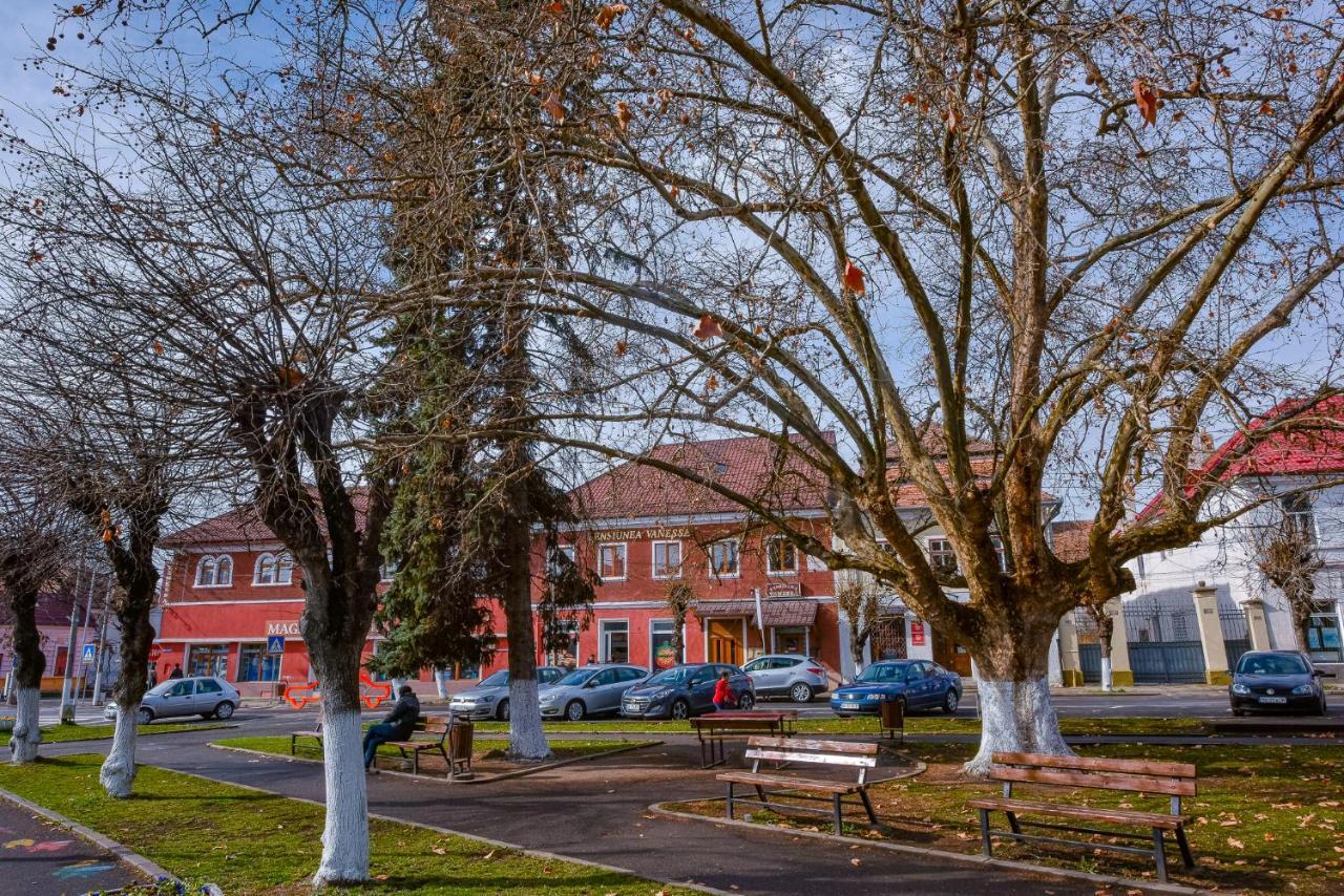 Pensiunea Vanessa Făgăraş Zewnętrze zdjęcie